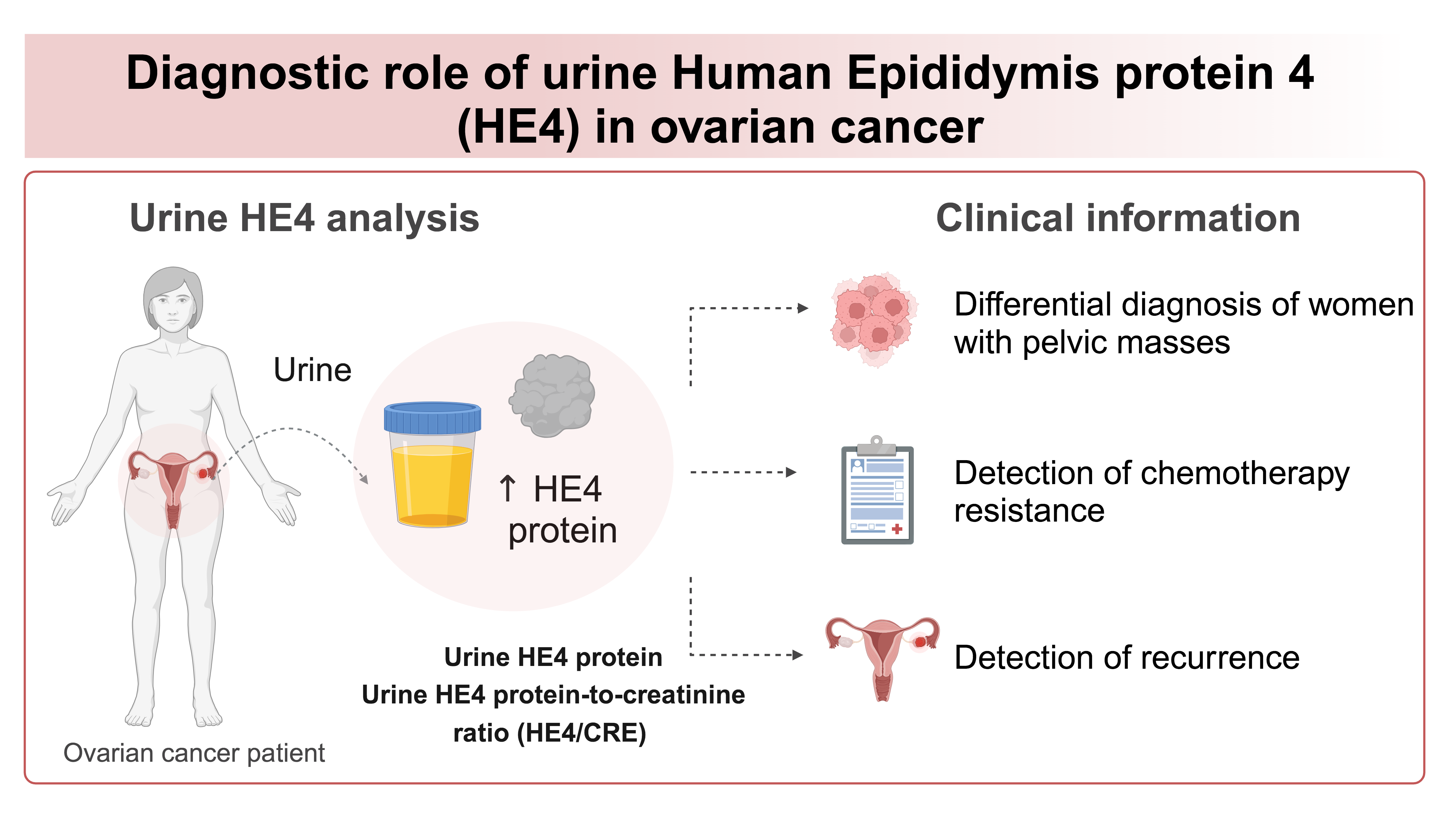 https://mail.biochemia-medica.biz.hr/assets/images/upload/xml_tif/bm-34-3-030502-g1.png