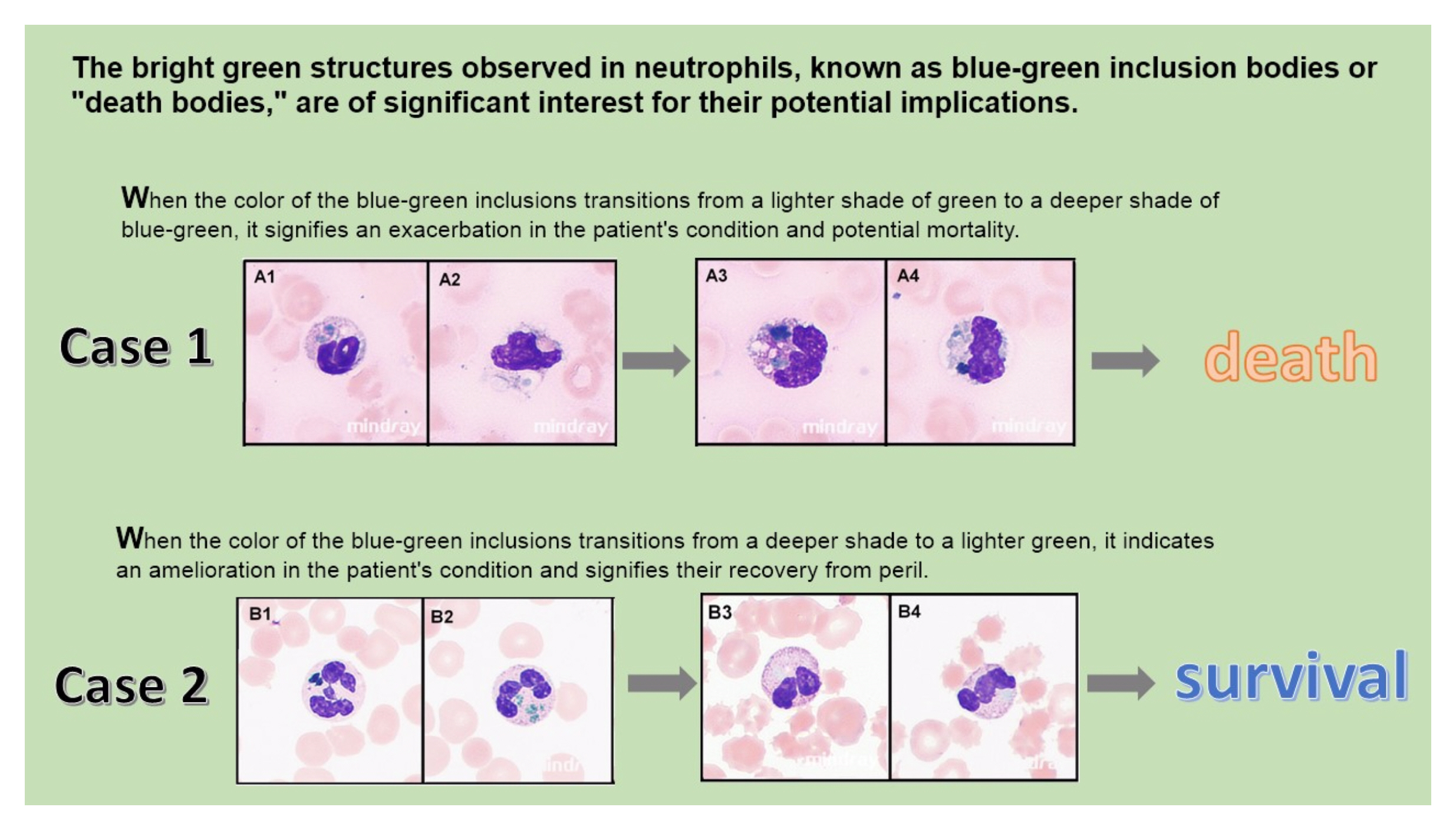 https://mail.biochemia-medica.biz.hr/assets/images/upload/xml_tif/bm-34-3-030801-g1.png