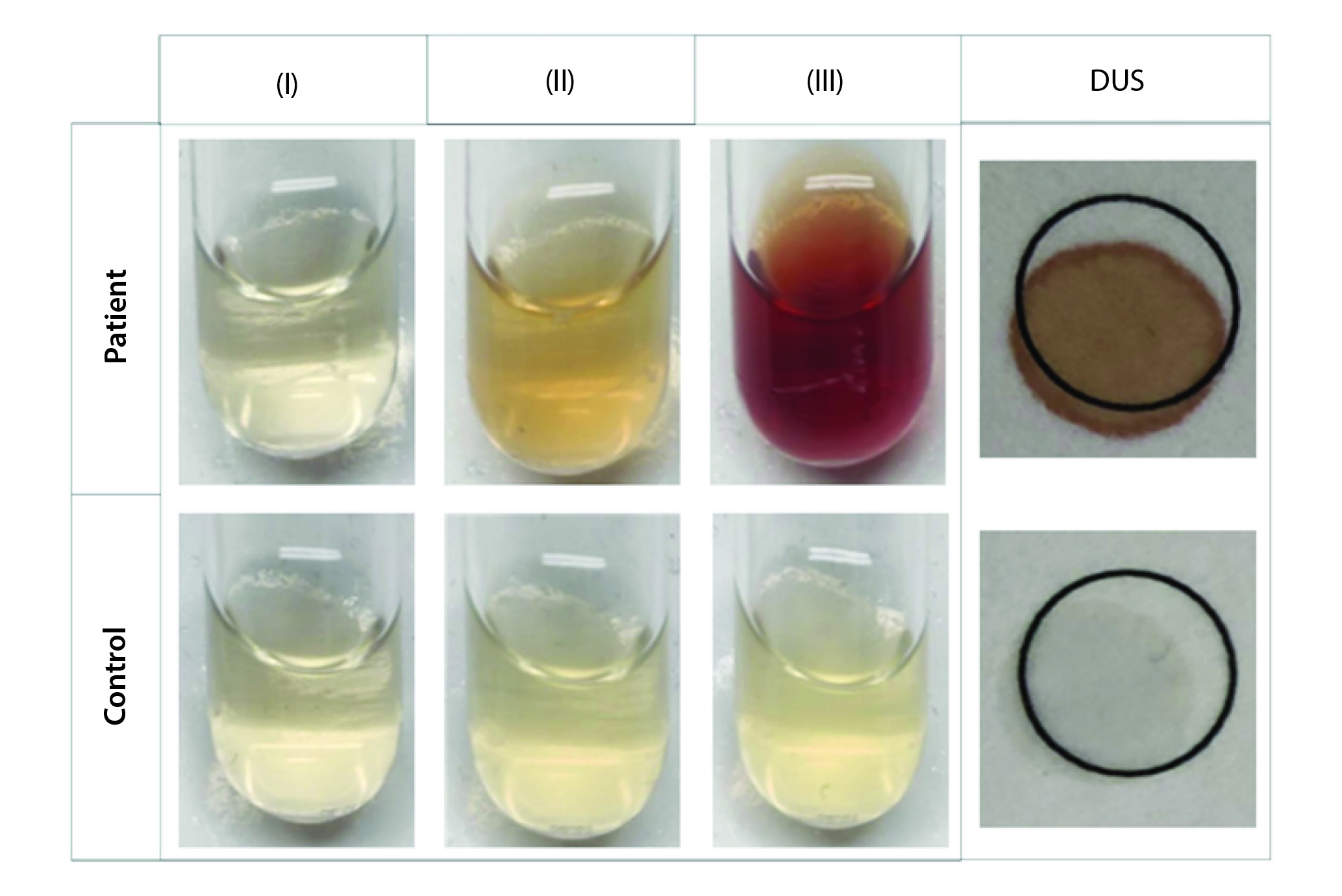 https://mail.biochemia-medica.biz.hr/assets/images/upload/xml_tif/bm-34-3-031002-f2.png